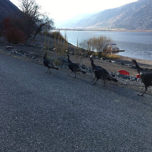 Meet your Posher, Enjoy